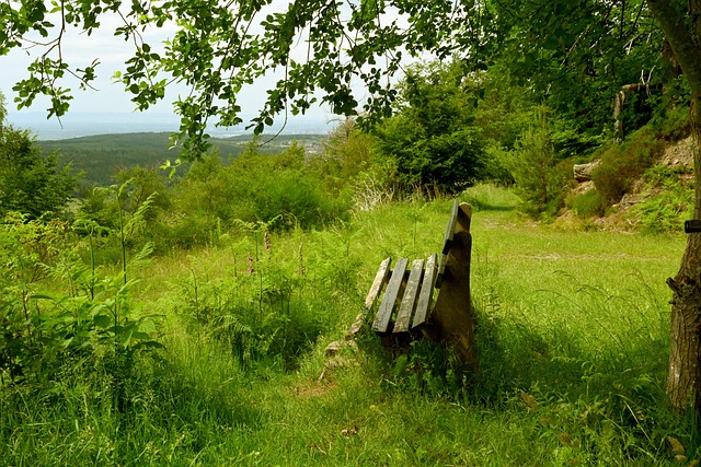 通过目前的 通过目前的