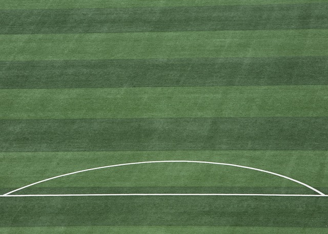 无疑非凡 无疑非凡