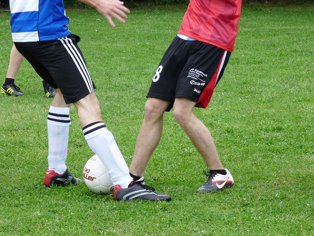 期就顯示出 期就顯示出