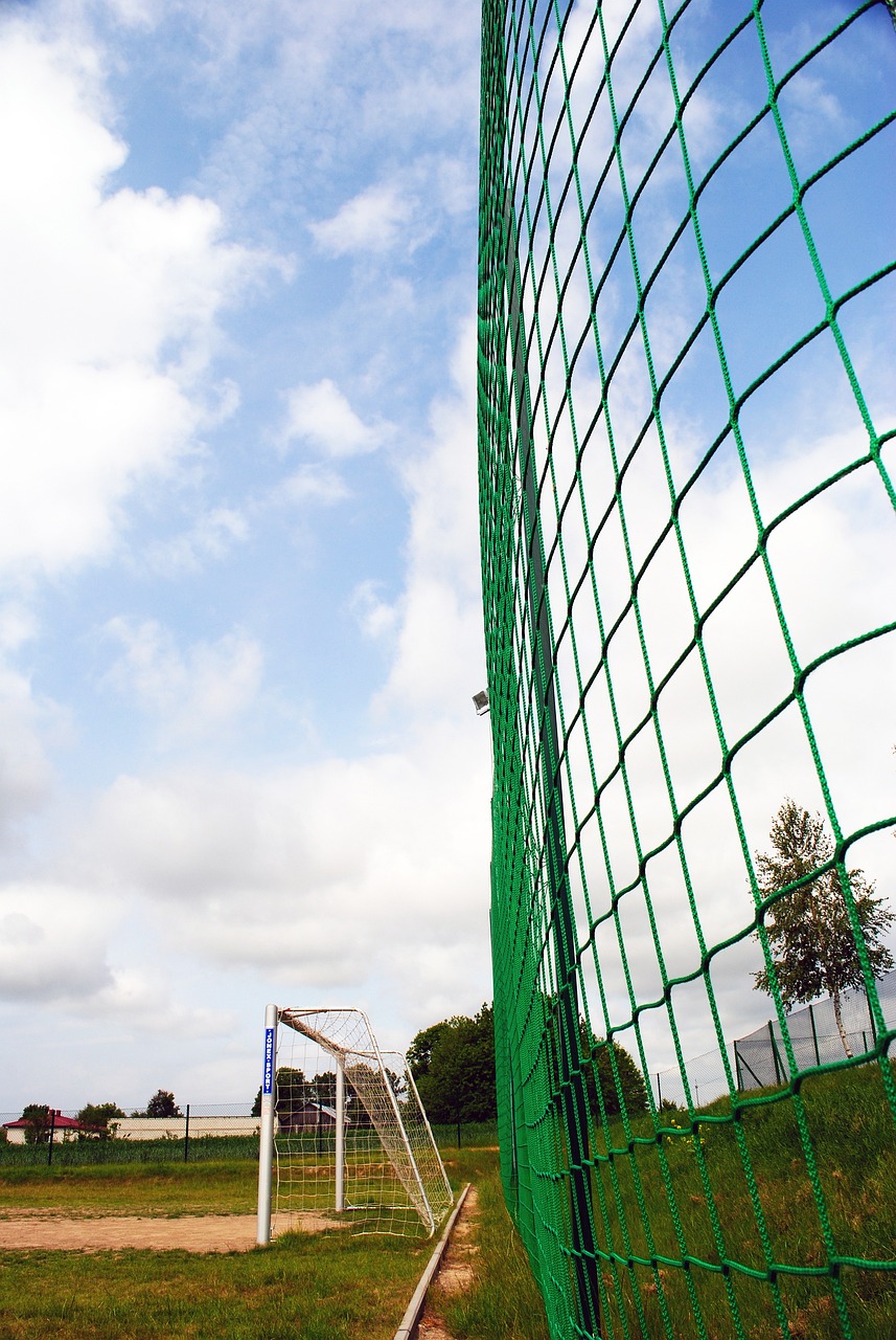 随着国际马 随着国际马