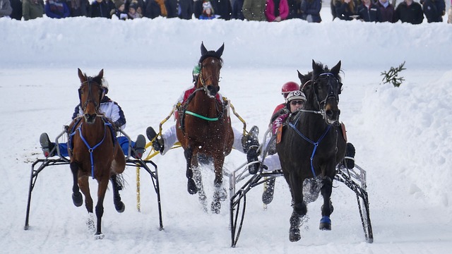 自己的能力 自己的能力
