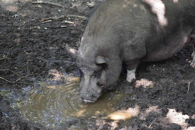 激烈的情况 激烈的情况
