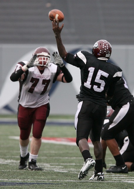 季的阵容稳 季的阵容稳