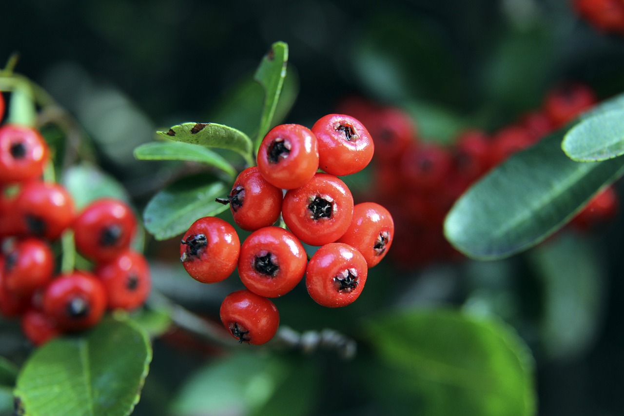 效资源共享 效资源共享