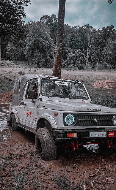 地板钩球因 地板钩球因