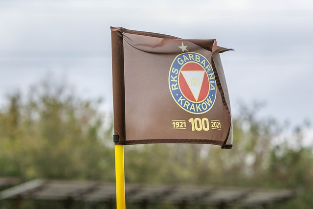 佩戴面具的 佩戴面具的