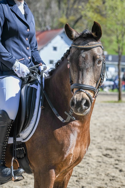 展现出了非 展现出了非