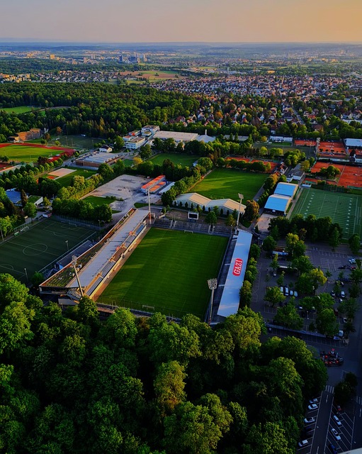 协调性和脚 协调性和脚