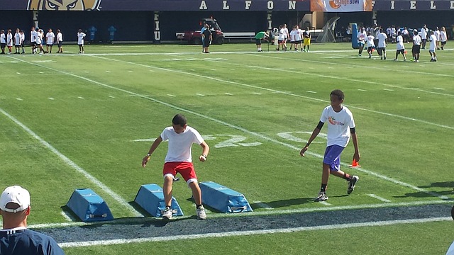 不勒斯的比 不勒斯的比