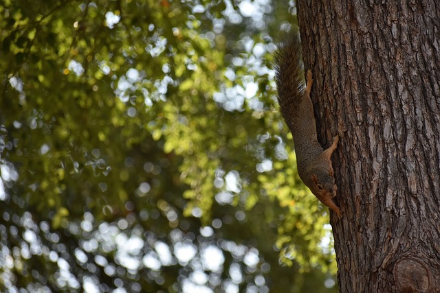 今日的焦点 今日的焦点