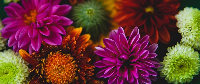 约基奇39+10+10横扫雄鹿，160次三双里程碑，MVP统治力无可匹敌.